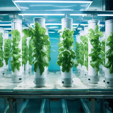 Aeroponic_2