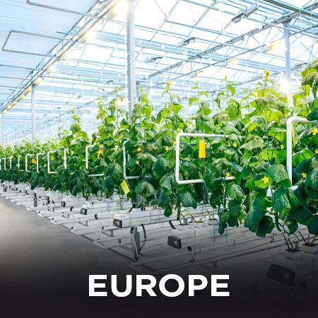 EUROPE hydroponics farming