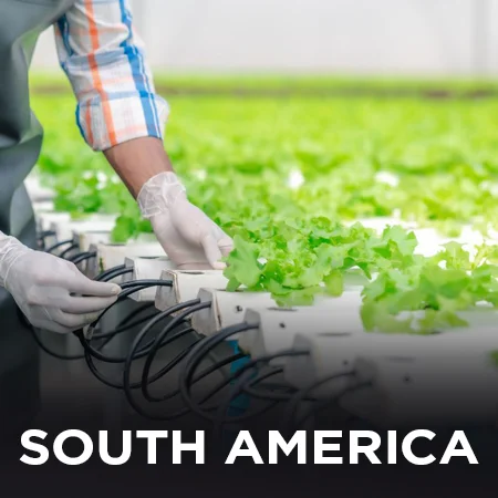 SOUTH AMERICA hydroponics farming