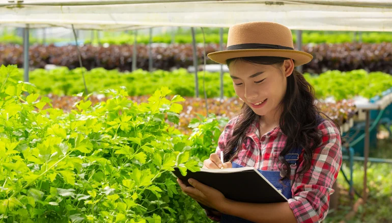 Hydroponics and Traditional Farming