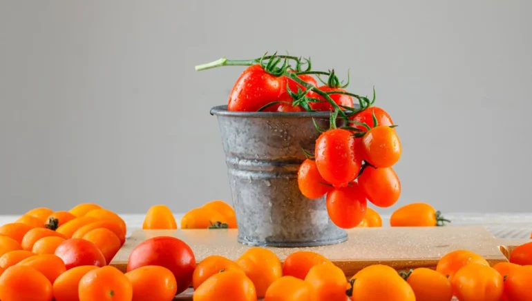 Maximizing Crop Yield with Hydroponics Farming Techniques